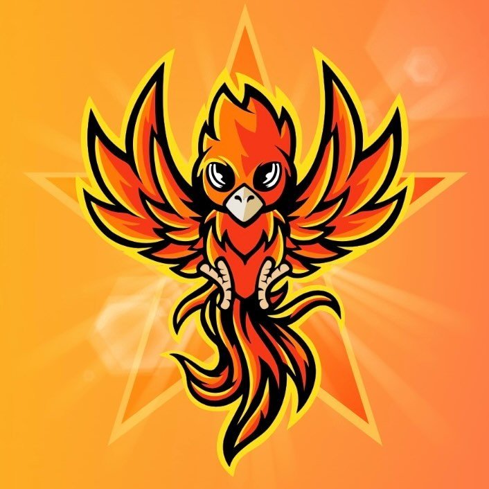 Phoenix Juniors Netball Club Logo